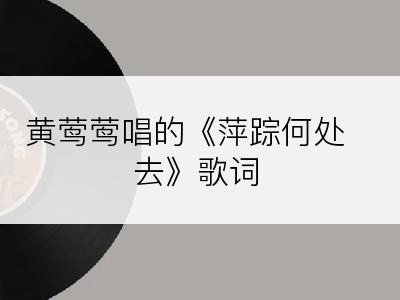 黄莺莺唱的《萍踪何处去》歌词