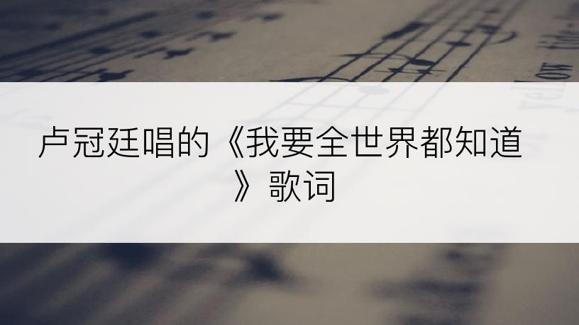 卢冠廷唱的《我要全世界都知道》歌词
