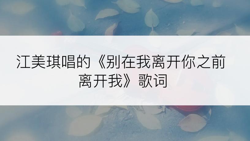 江美琪唱的《别在我离开你之前离开我》歌词