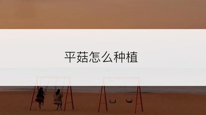 平菇怎么种植