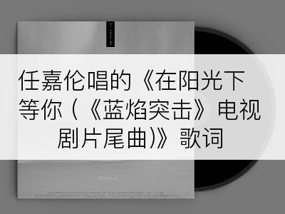 任嘉伦唱的《在阳光下等你 (《蓝焰突击》电视剧片尾曲)》歌词