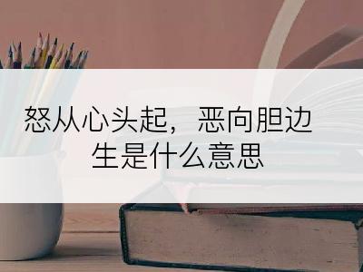 怒从心头起，恶向胆边生是什么意思