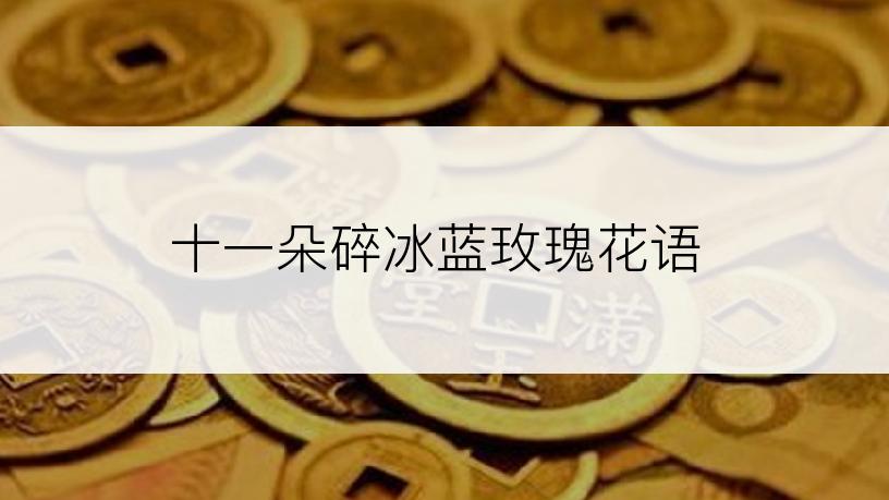 十一朵碎冰蓝玫瑰花语