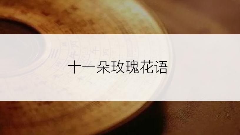 十一朵玫瑰花语