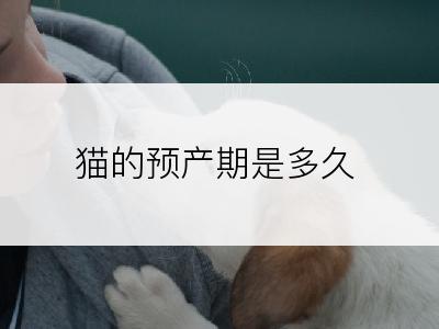 猫的预产期是多久