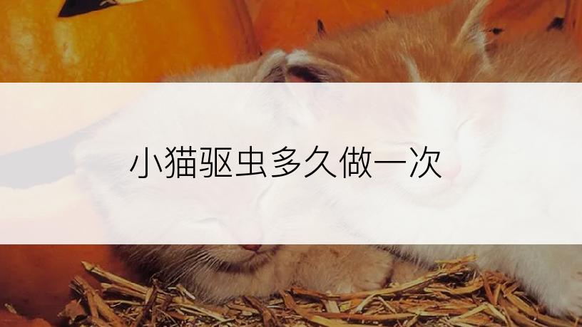 小猫驱虫多久做一次