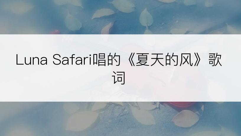 Luna Safari唱的《夏天的风》歌词