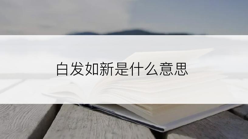 白发如新是什么意思