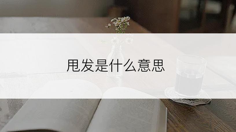 甩发是什么意思