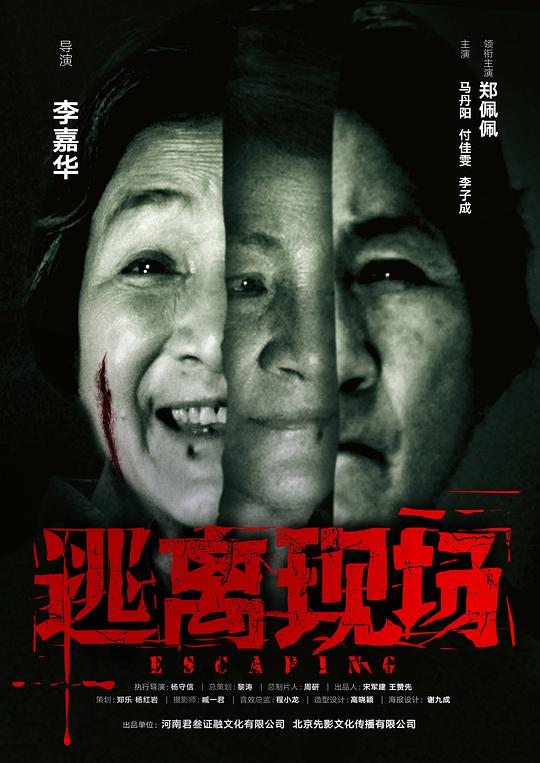 《逃离现场》讲的什么剧情