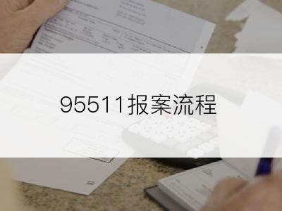95511报案流程
