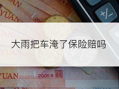 大雨把车淹了保险赔吗