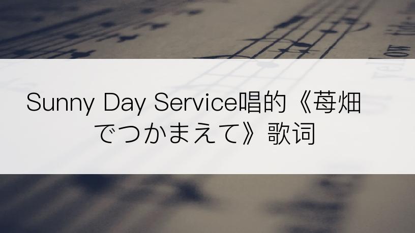 Sunny Day Service唱的《苺畑でつかまえて》歌词