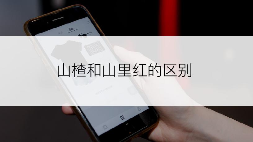 山楂和山里红的区别