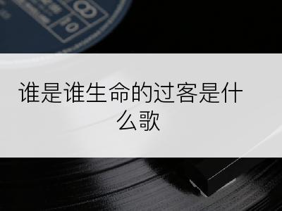 谁是谁生命的过客是什么歌