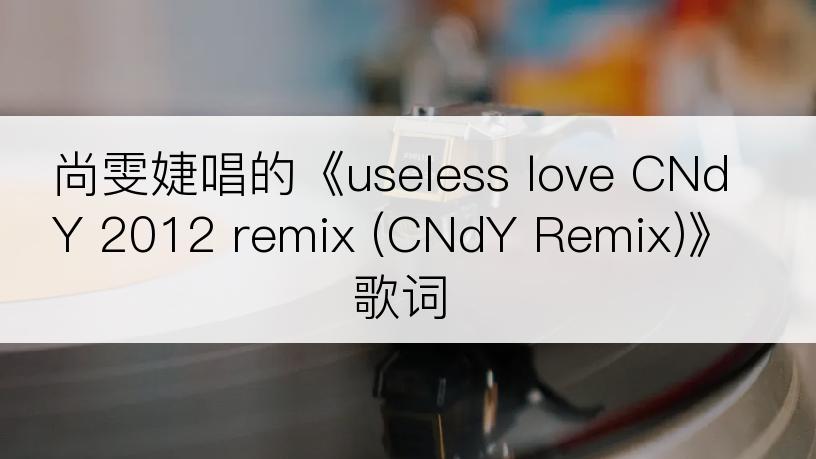 尚雯婕唱的《useless love CNdY 2012 remix (CNdY Remix)》歌词