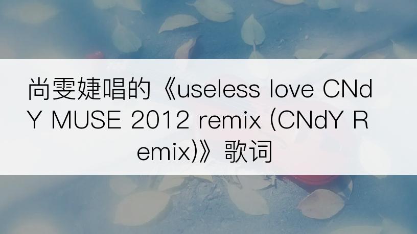 尚雯婕唱的《useless love CNdY MUSE 2012 remix (CNdY Remix)》歌词