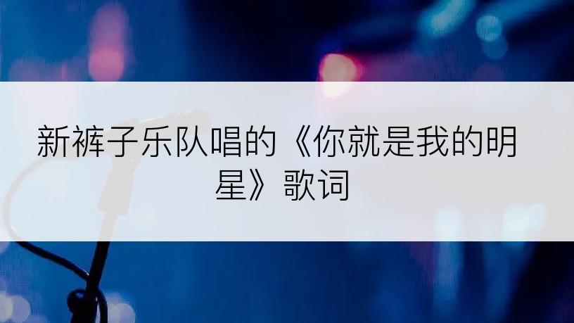 新裤子乐队唱的《你就是我的明星》歌词