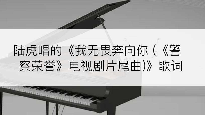 陆虎唱的《我无畏奔向你 (《警察荣誉》电视剧片尾曲)》歌词