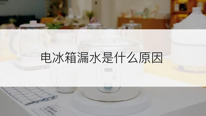 电冰箱漏水是什么原因
