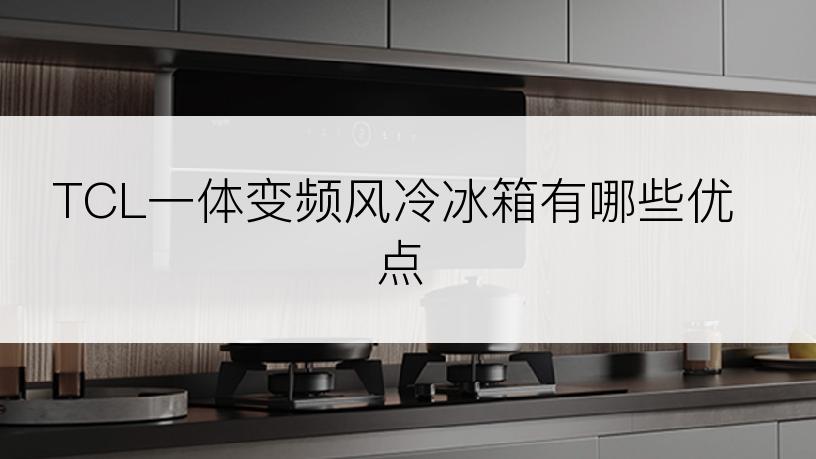 TCL一体变频风冷冰箱有哪些优点