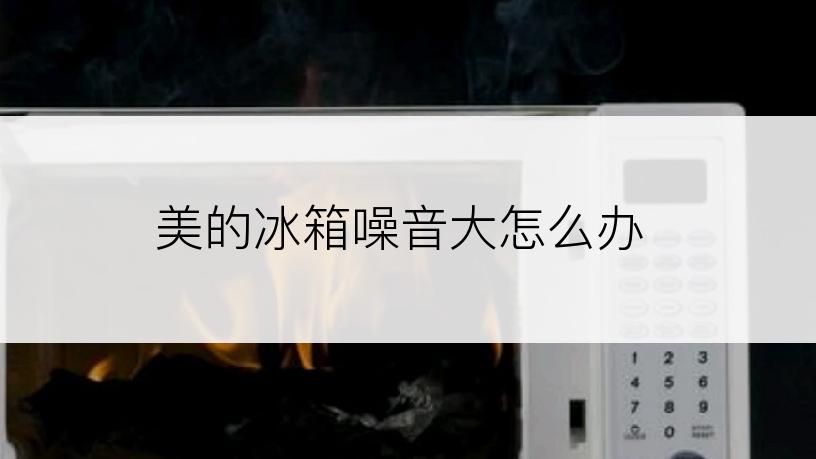 美的冰箱噪音大怎么办