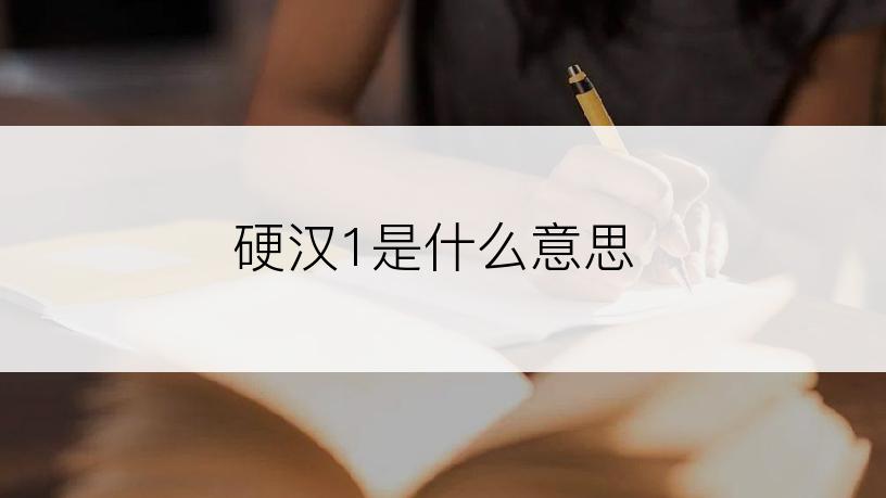 硬汉1是什么意思