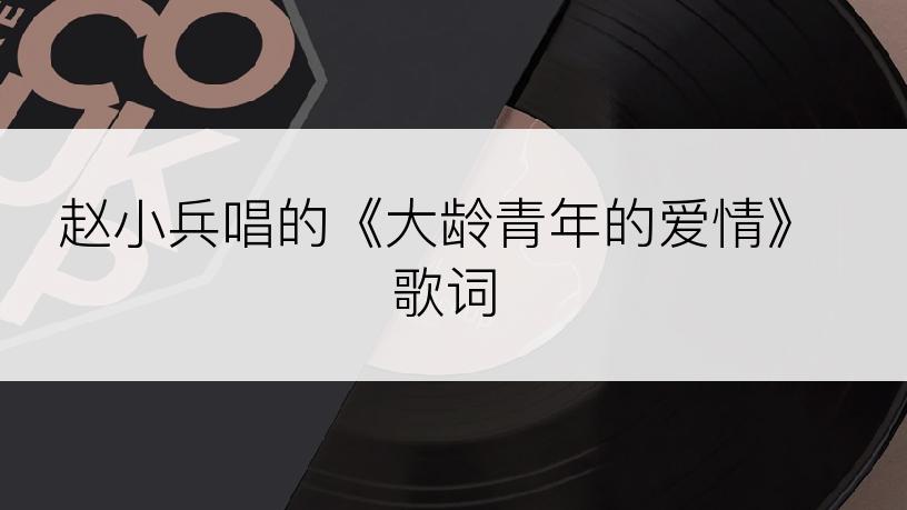 赵小兵唱的《大龄青年的爱情》歌词