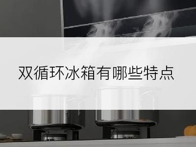 双循环冰箱有哪些特点