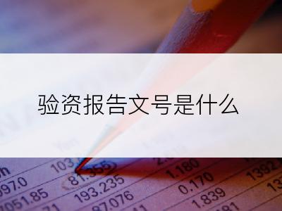 验资报告文号是什么