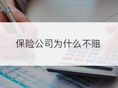 保险公司为什么不赔