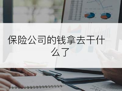 保险公司的钱拿去干什么了