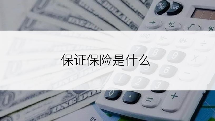 保证保险是什么