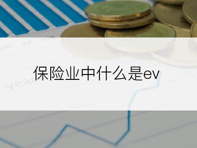 保险业中什么是ev