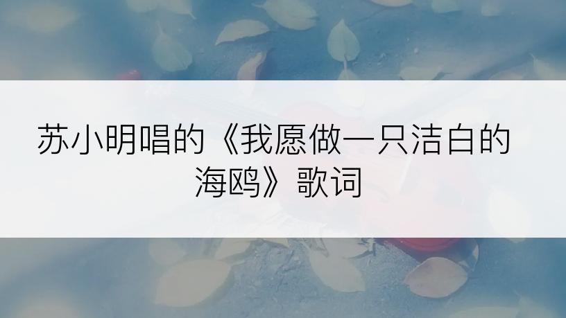 苏小明唱的《我愿做一只洁白的海鸥》歌词