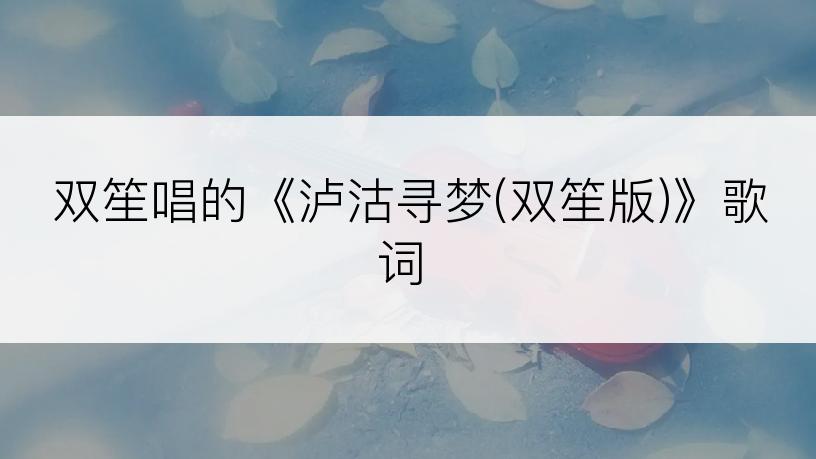 双笙唱的《泸沽寻梦(双笙版)》歌词