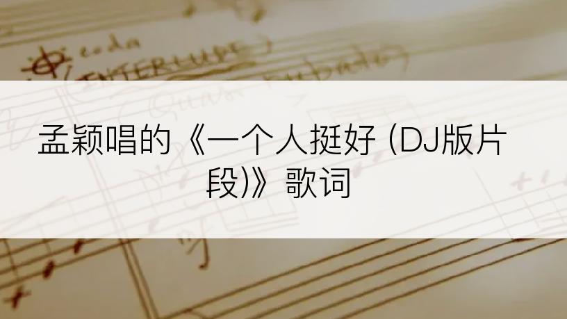 孟颖唱的《一个人挺好 (DJ版片段)》歌词
