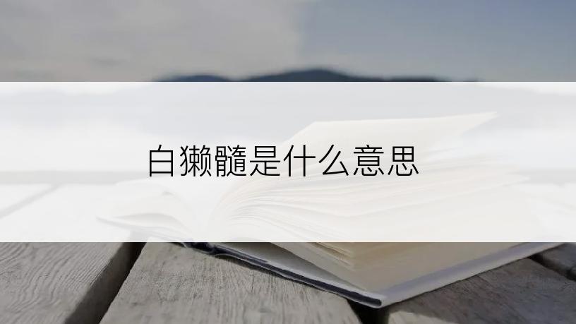 白獭髓是什么意思