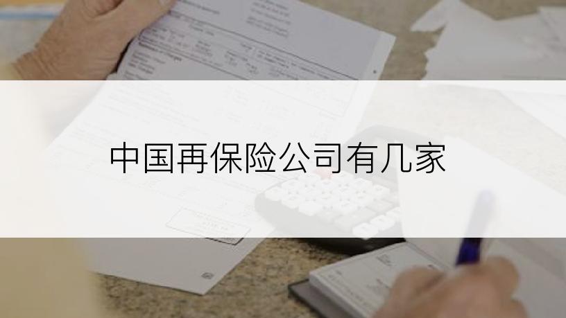 中国再保险公司有几家
