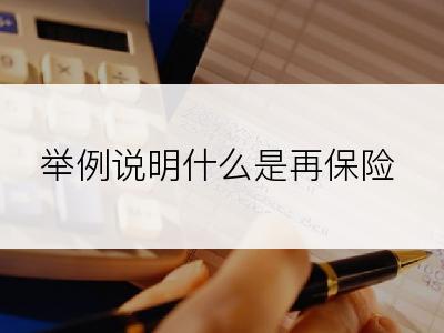 举例说明什么是再保险
