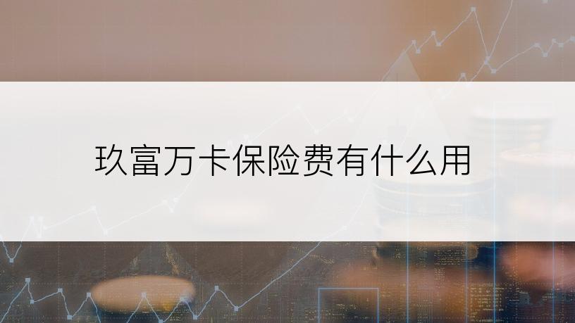 玖富万卡保险费有什么用