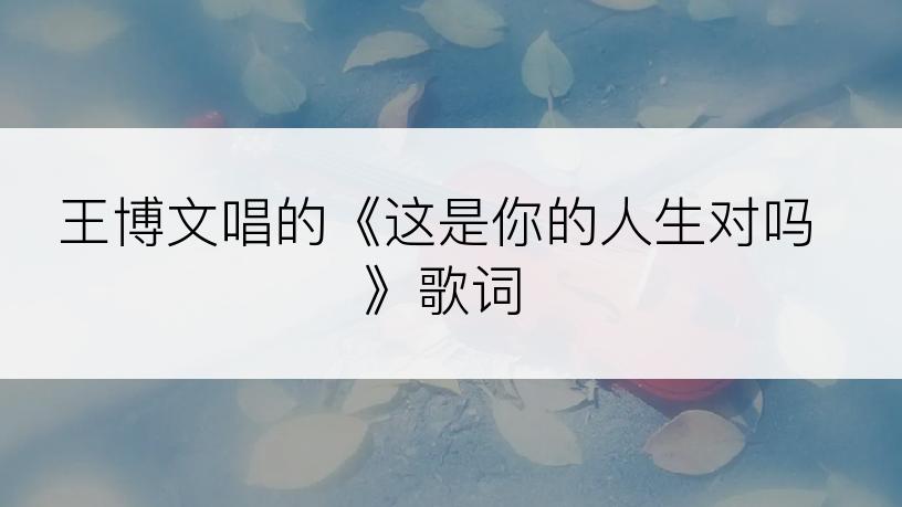 王博文唱的《这是你的人生对吗》歌词