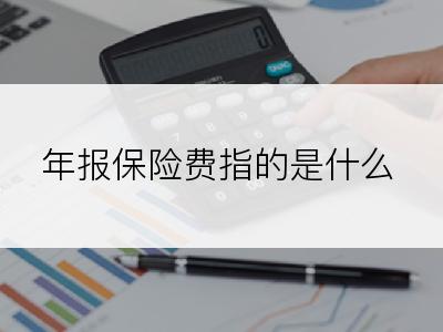 年报保险费指的是什么