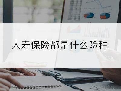 人寿保险都是什么险种