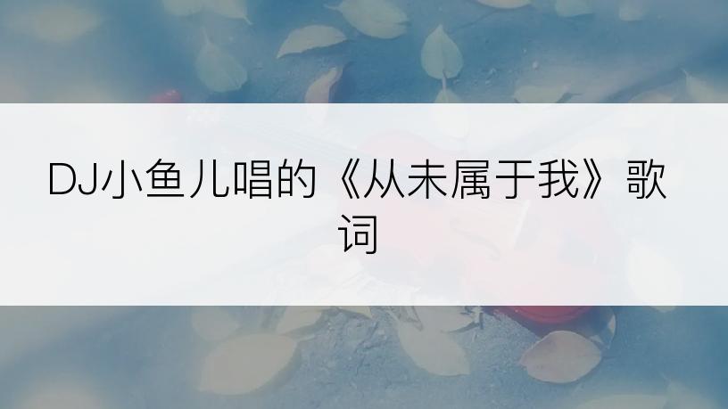 DJ小鱼儿唱的《从未属于我》歌词