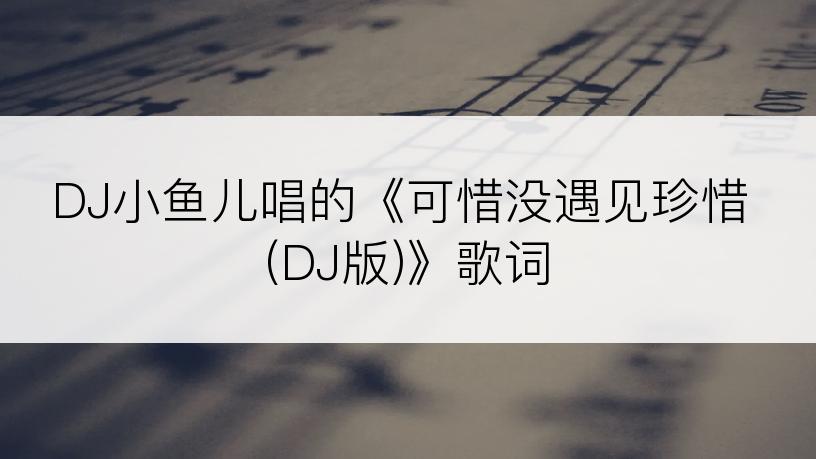 DJ小鱼儿唱的《可惜没遇见珍惜 (DJ版)》歌词