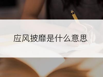 应风披靡是什么意思