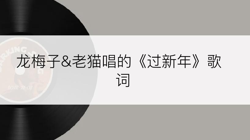 龙梅子&老猫唱的《过新年》歌词