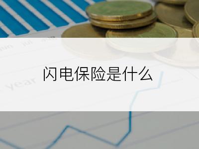 闪电保险是什么