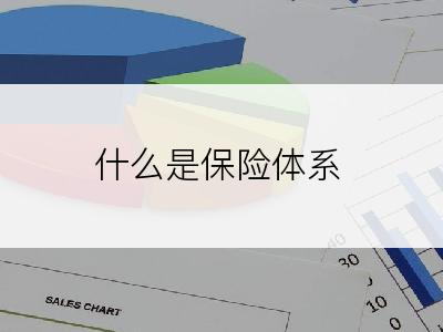 什么是保险体系